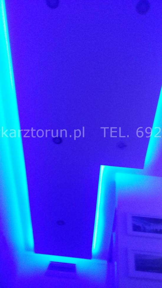 Lektura